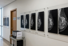 Vinicius Tadeu Sattin Rodrigues