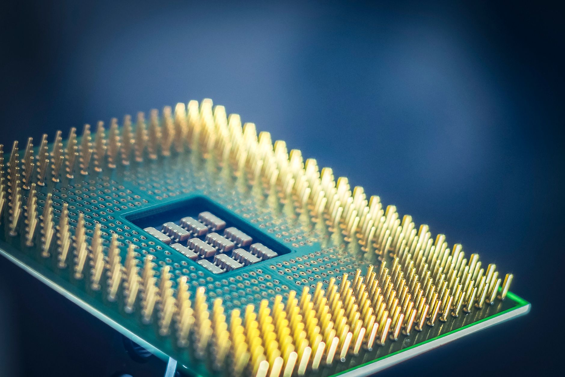 Close de um chip de processamento com pinos dourados sobre fundo azul.